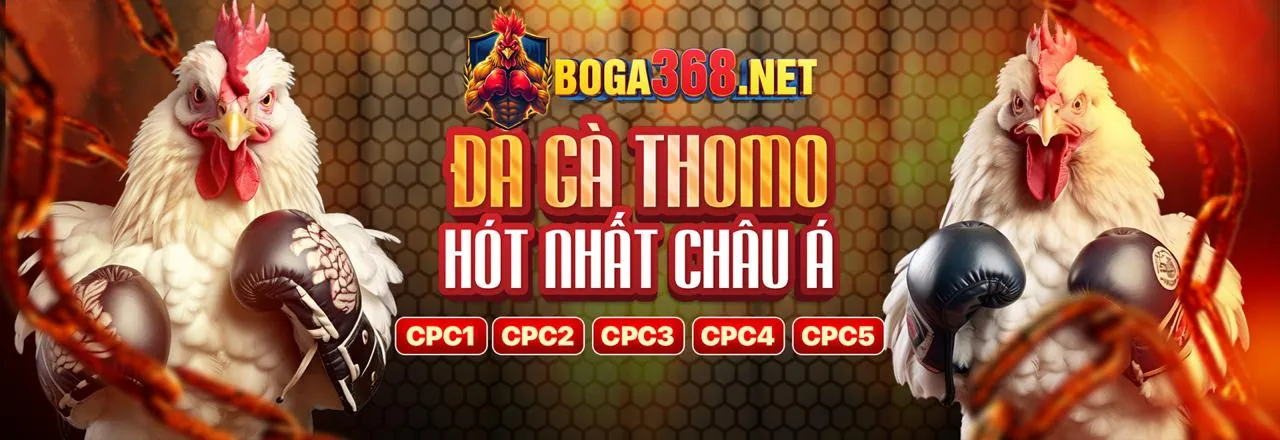 Tham gia mmoo ngay hôm nay